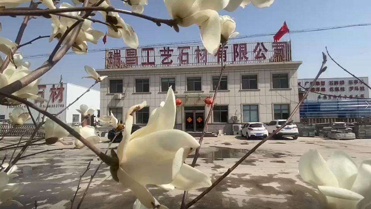 芝麻黑厂家